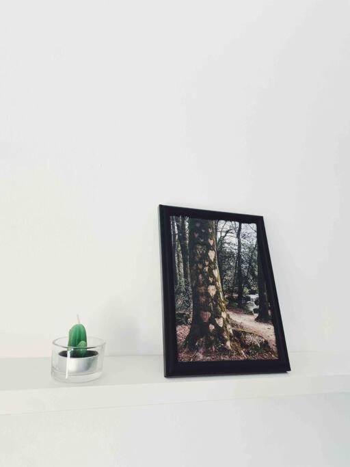 Precioso Apartamento Con Banera Hidromasaje Lägenhet Sopelana Exteriör bild